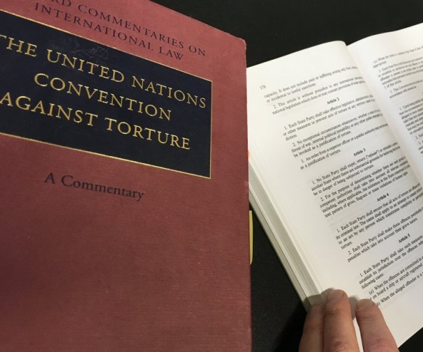 Domestic Violence as a Form of Torture under the Convention Against Torture: The Case of&nbsp;Georgia